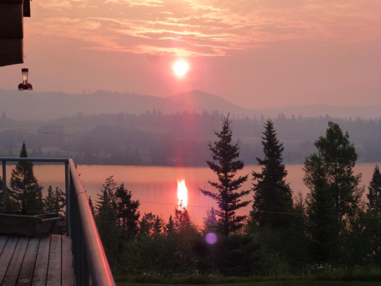 Little Black Bear Lodge/B&B Bridge Lake Exterior foto