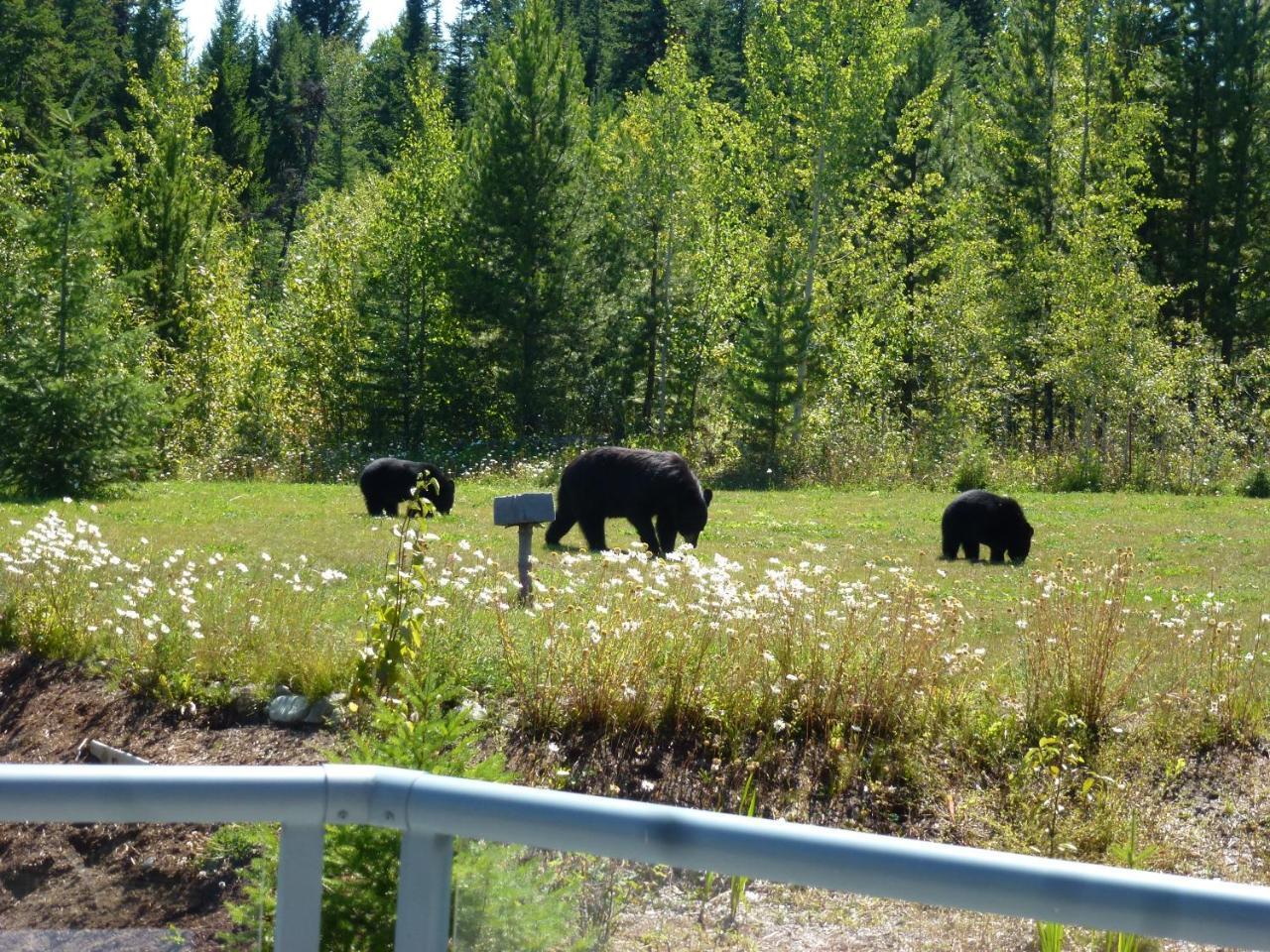 Little Black Bear Lodge/B&B Bridge Lake Exterior foto