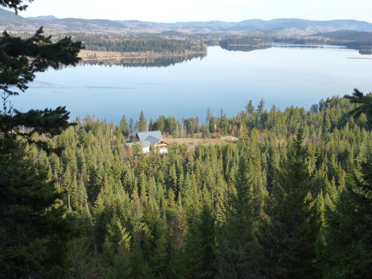 Little Black Bear Lodge/B&B Bridge Lake Exterior foto